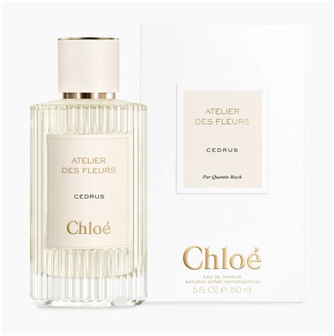 cedrus chloe|perfume chloe wangi tak.